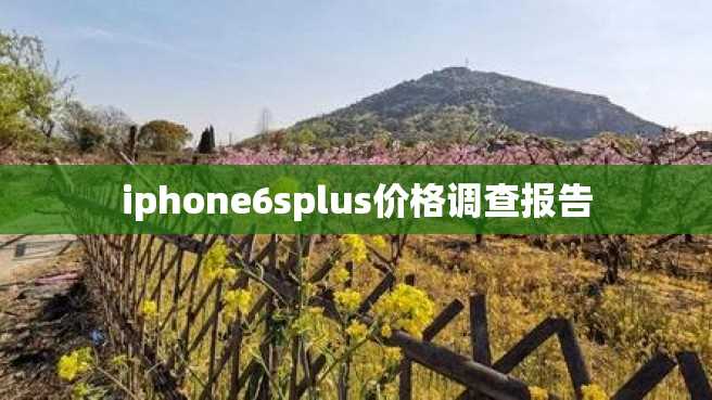 iphone6splus价格调查报告 iphone6splus价格调查报告