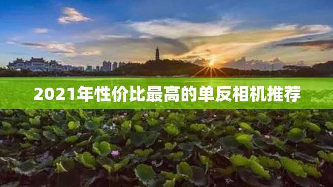2021年性价比最高的单反相机推荐 2023年性价比最高的单反相机推荐