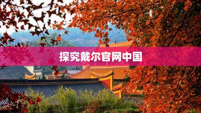 探究戴尔官网中国 探究戴尔官网中国