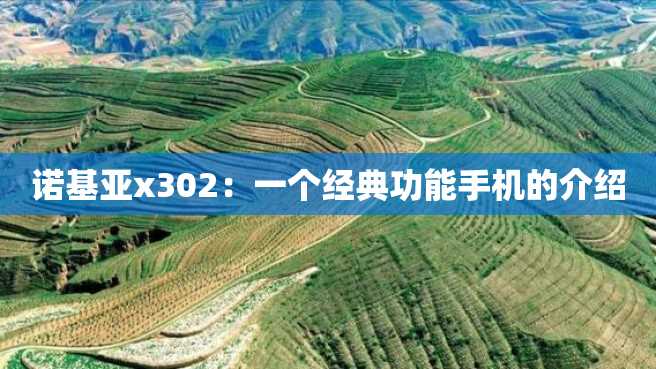 诺基亚x302:一个经典功能手机的介绍 诺基亚x302:一个经典功能手机的介绍