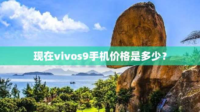 现在vivos9手机价格是多少? 现在vivos9手机价格是多少?