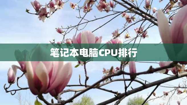 笔记本电脑CPU排行 笔记本电脑CPU排行