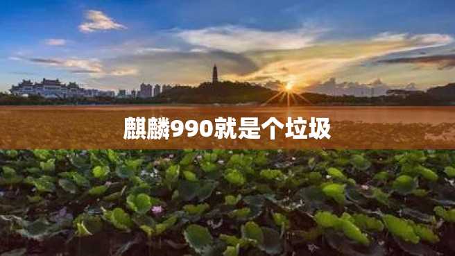 麒麟990就是个垃圾 麒麟990就是个垃圾