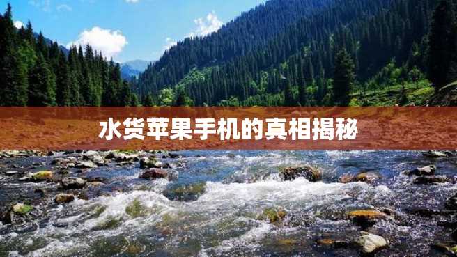 水货苹果手机的真相揭秘