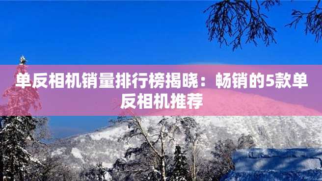 单反相机销量排行榜揭晓:畅销的5款单反相机推荐 单反相机销量排行榜揭晓:畅销的5款单反相机推荐