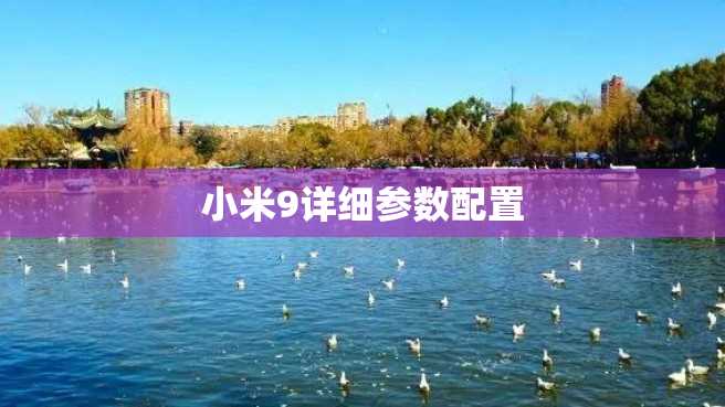小米9详细参数配置 小米9详细参数配置