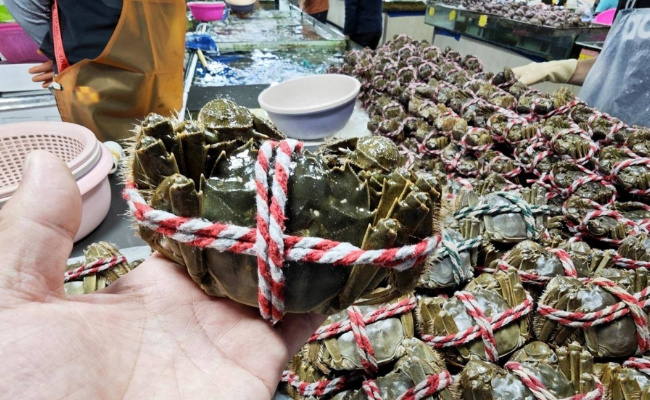 为何大闸蟹跌出“白菜价”