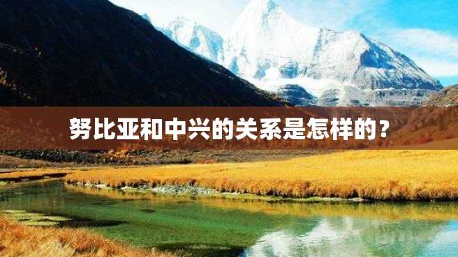 努比亚和中兴的关系是怎样的? 努比亚和中兴的关系是怎样的?