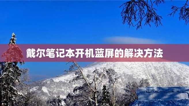 戴尔笔记本开机蓝屏的解决方法 戴尔笔记本开机蓝屏的解决方法