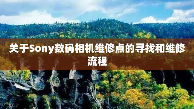 关于Sony数码相机维修点的寻找和维修流程 关于Sony数码相机维修点的寻找和维修流程