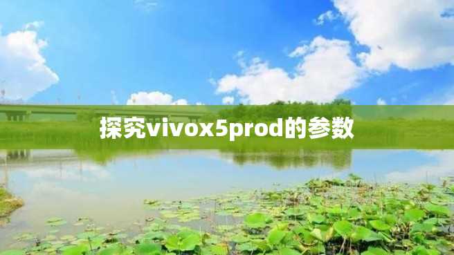 探究vivox5prod的参数