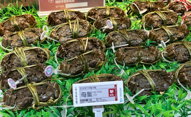 为何大闸蟹跌出“白菜价”