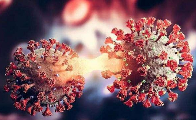 74名学生上吐下泻系诺如病毒感染 诺如病毒是如何传播的