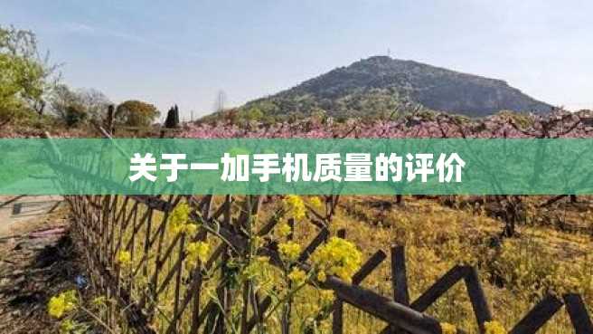 关于一加手机质量的评价 关于一加手机质量的评价