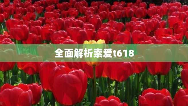 全面解析索爱t618 全面解析索爱t618