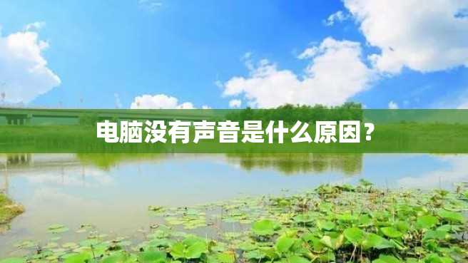 电脑没有声音是什么原因? 电脑没有声音是什么原因?