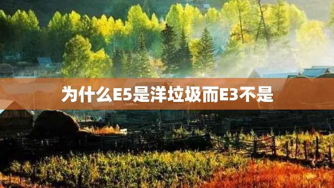 为什么E5是洋垃圾而E3不是 为什么E5是洋垃圾而E3不是