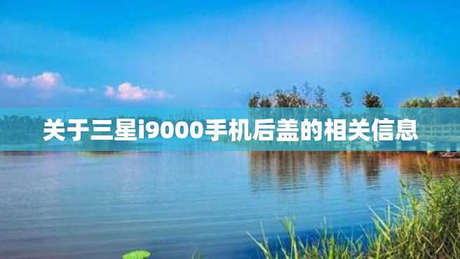 关于三星i9000手机后盖的相关信息 关于三星i9000手机后盖的相关信息