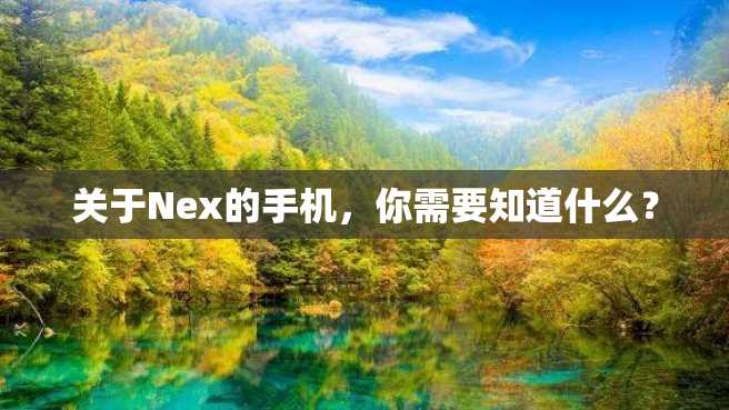 关于Nex的手机，你需要知道什么？
