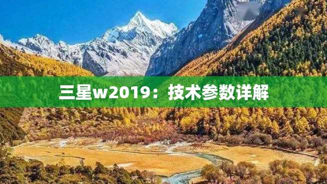 三星w2019:技术参数详解 三星w2023:技术参数详解