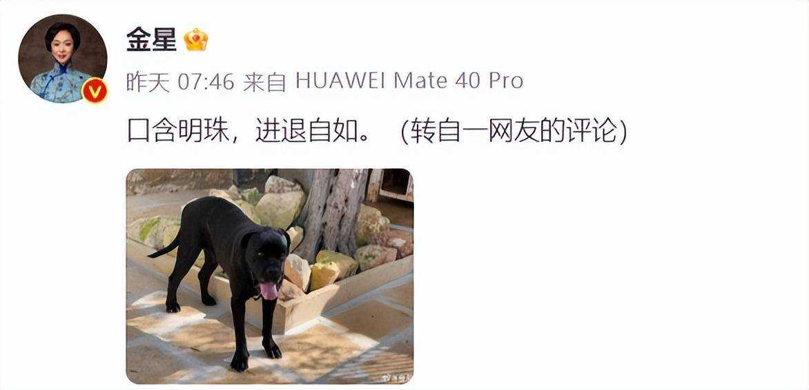 金星发文疑内涵董明珠王自如 一场误会还是刻意为之?