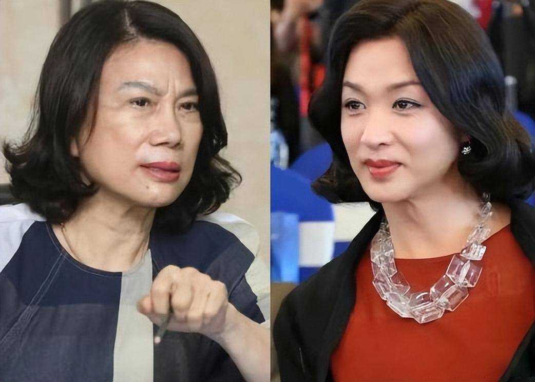 金星发文疑内涵董明珠王自如 一场误会还是刻意为之?