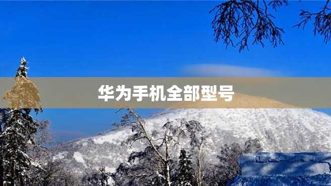 华为手机全部型号 华为手机全部型号
