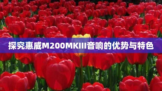 探究惠威M200MKIII音响的优势与特色 探究惠威M200MKIII音响的优势与特色