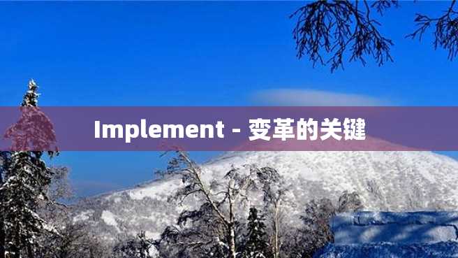 Implement - 变革的关键 Implement - 变革的关键