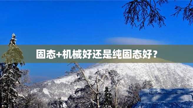 固态+机械好还是纯固态好? 固态+机械好还是纯固态好?
