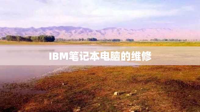 IBM笔记本电脑的维修 IBM笔记本电脑的维修