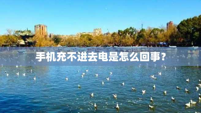 手机充不进去电是怎么回事? 手机充不进去电是怎么回事?