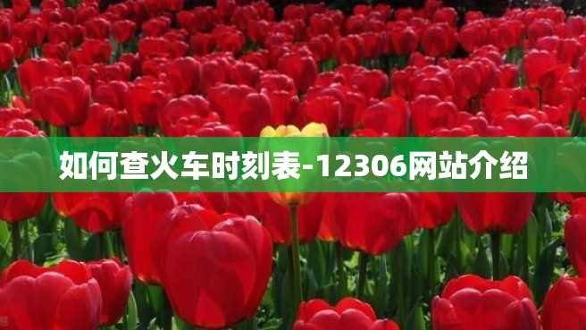 如何查火车时刻表-12306网站介绍 如何查火车时刻表-12306网站介绍