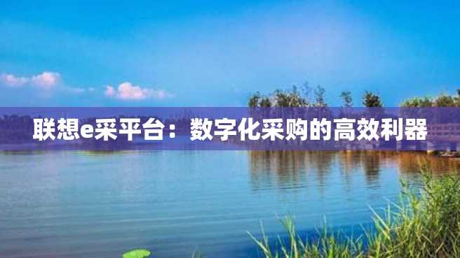 联想e采平台:数字化采购的高效利器 联想e采平台:数字化采购的高效利器
