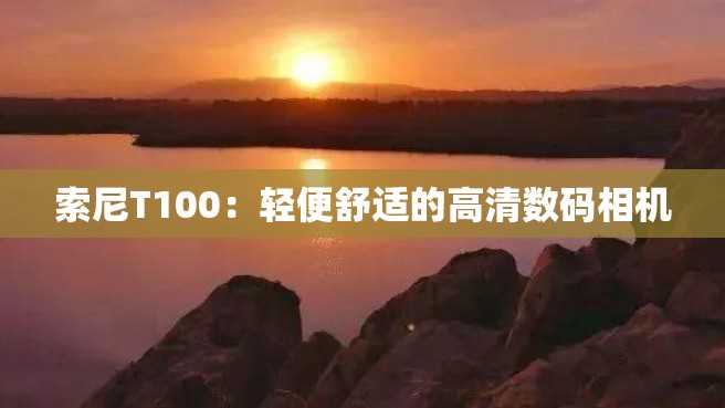 索尼T100:轻便舒适的高清数码相机 索尼T100:轻便舒适的高清数码相机