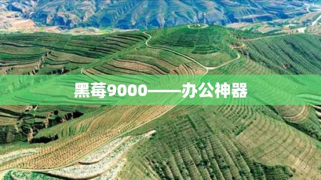 黑莓9000——办公神器 黑莓9000——办公神器
