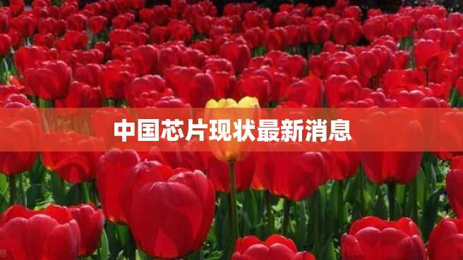中国芯片现状最新消息 中国芯片现状最新消息