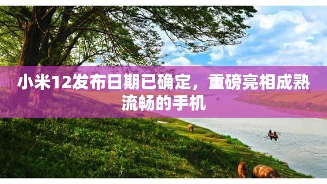 小米12发布日期已确定,重磅亮相成熟流畅的手机 小米12发布日期已确定,重磅亮相成熟流畅的手机