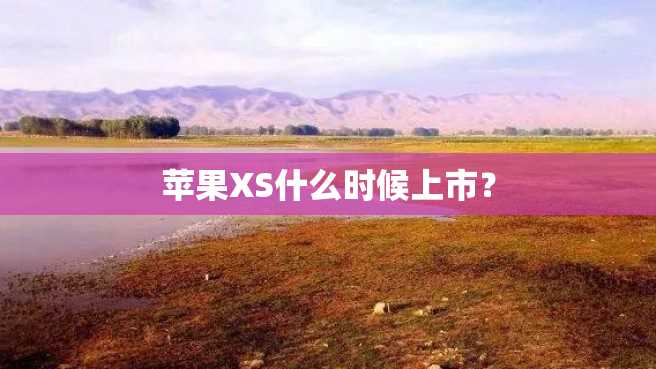 苹果XS什么时候上市? 苹果XS什么时候上市?