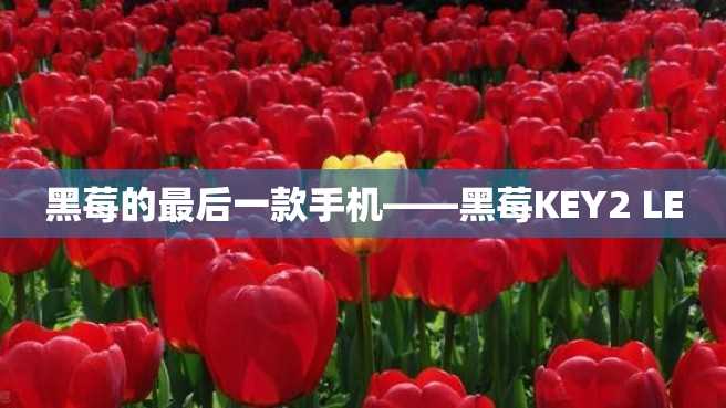黑莓的最后一款手机——黑莓KEY2 LE 黑莓的最后一款手机——黑莓KEY2 LE