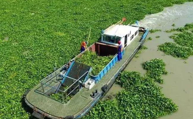 我国首次启用数字化信息技术进行入侵物种监测预警 入侵物种有哪些危害