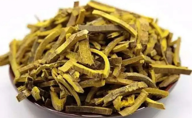 黄柏树皮有什么功效 黄柏树皮禁忌是什么