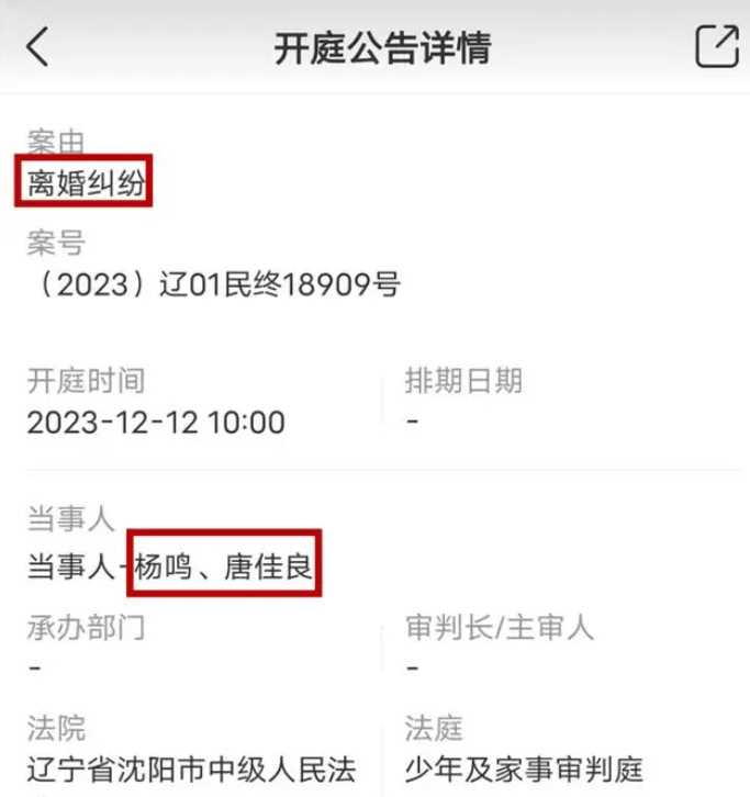 杨鸣妻子疑发长文曝男方出轨细节 球星的家庭幸福岌岌可危?