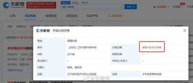 杨鸣唐佳良双双官宣离婚 平分千万财产,将共同抚养好孩子