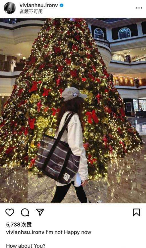 徐若瑄宣布与富商丈夫离婚！克服不了差异 历时九年的婚姻画上句号!