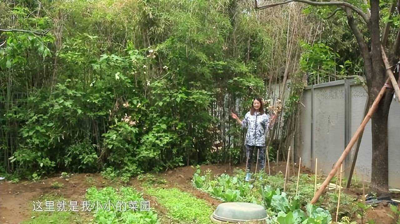 周海媚的独居者之困 面对紧急情况应该如何自救?