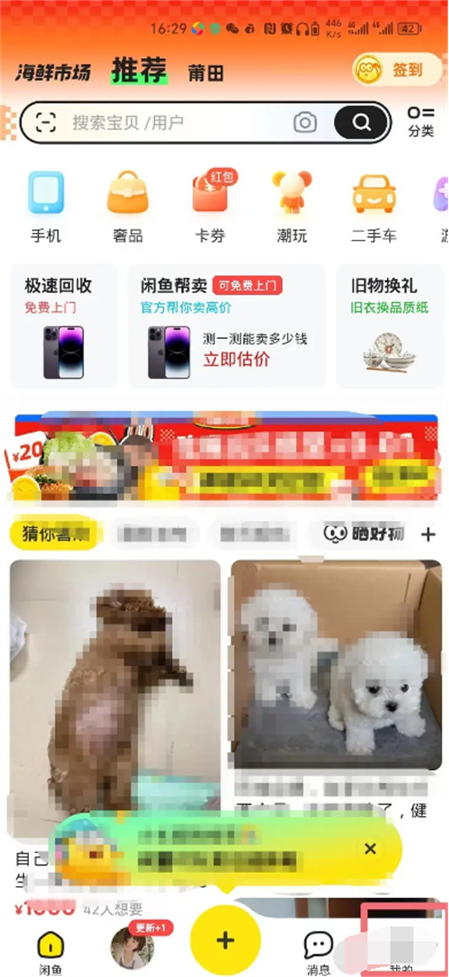 闲鱼怎么设置昵称 闲鱼昵称如何设置