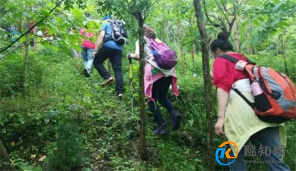 一个人山林徒步时都要关注哪些点 山林徒步要注意什么_酷知科普