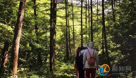 一个人山林徒步时都要关注哪些点 山林徒步要注意什么_酷知科普