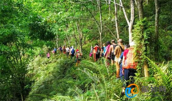 一个人山林徒步时都要关注哪些点 山林徒步要注意什么_酷知科普